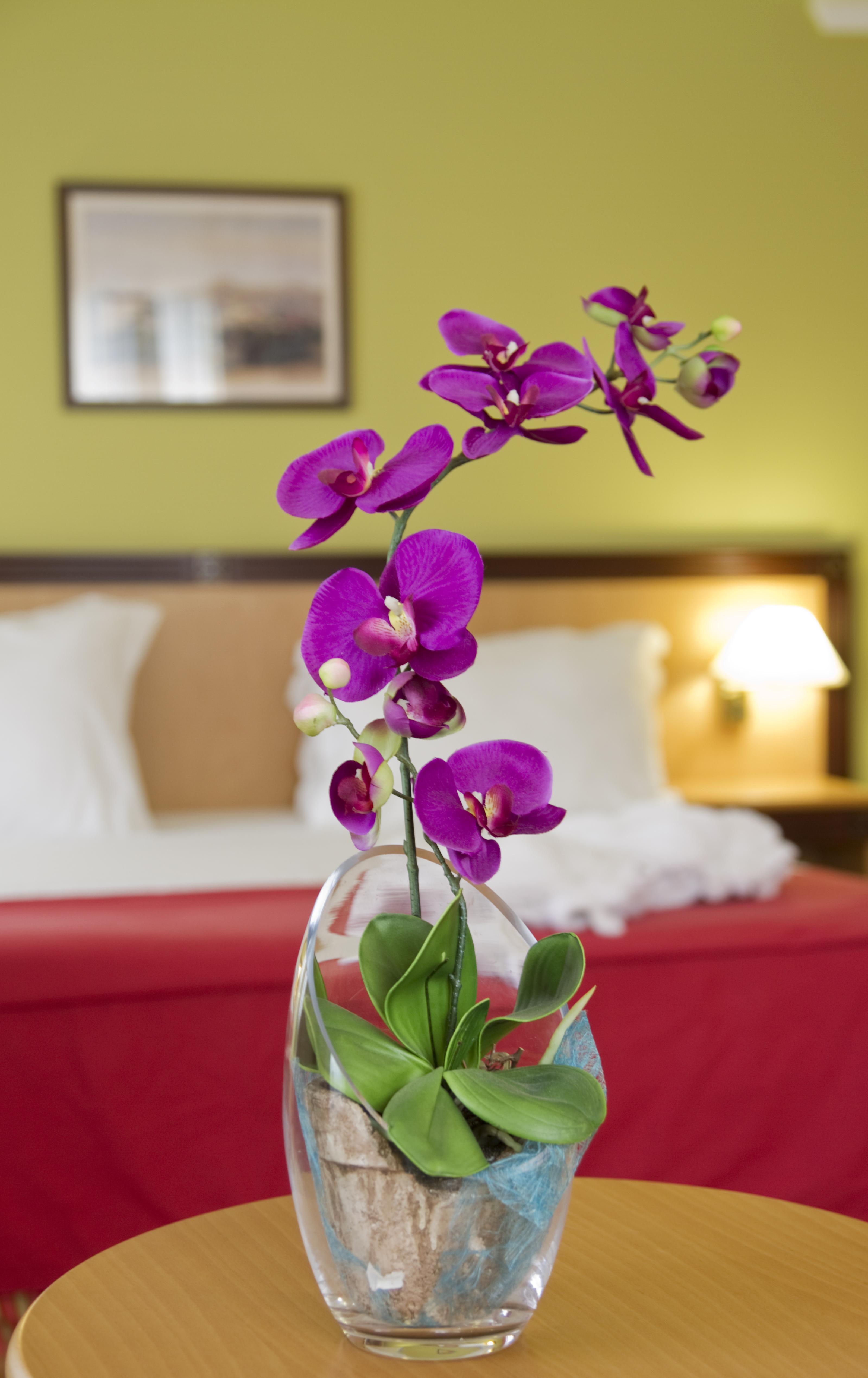 Hotel Quinta Bela S Tiago 丰沙尔 外观 照片