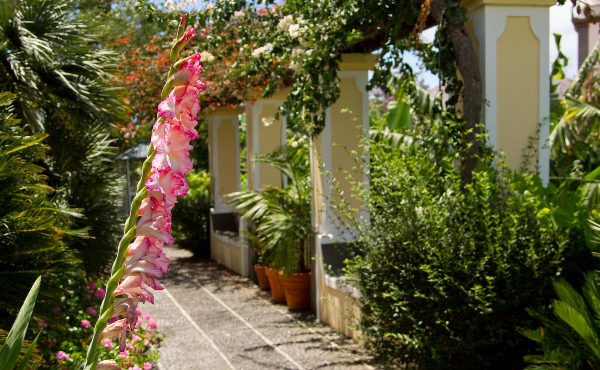 Hotel Quinta Bela S Tiago 丰沙尔 外观 照片